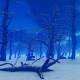Dead Forest in Winter - VideoHive Item for Sale