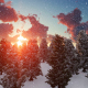 Sunny Winter Forest - VideoHive Item for Sale