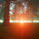 Sunset in Mystic Forest - VideoHive Item for Sale