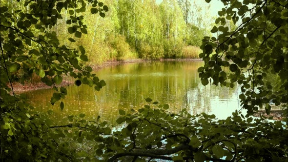 Lake and Reflection of the Yellow Trees