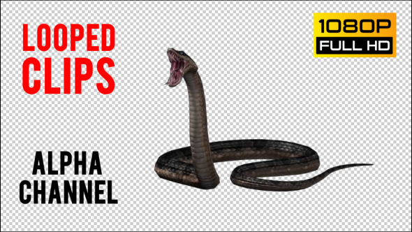 Snake 4 alt