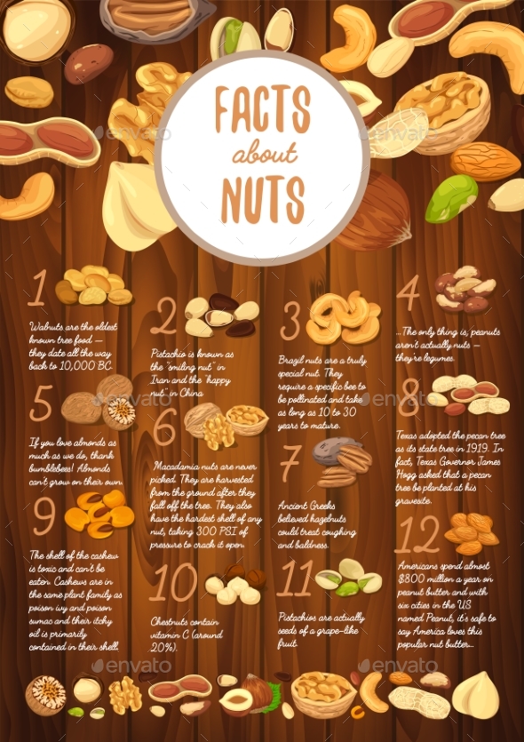 Facts About Nuts on Wooden Board with Kernel - Food Objects