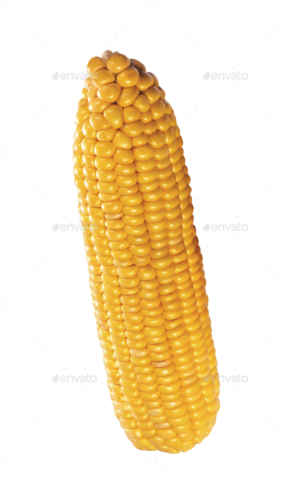 corn isolated - Stock Photo - Images