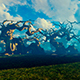 Forest With Fantasy Trees Forest With Fantasy Trees - VideoHive Item for Sale