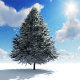 Christmas Tree - VideoHive Item for Sale