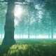 Mysterious Jungle - VideoHive Item for Sale