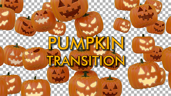 Pumpkin Transition