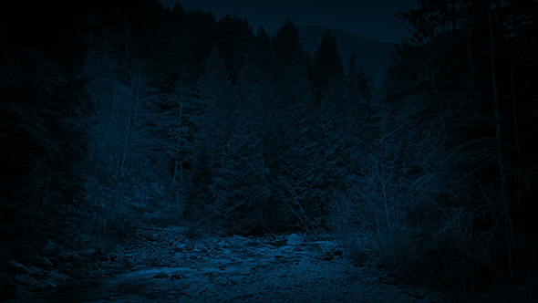 River In Wilderness Landscape At Night, Stock Footage | VideoHive