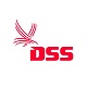 DSS-Theme