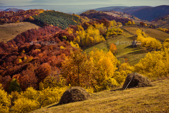 Fall In The Mountains Autumn In Transylvania Romania Stock Photo By