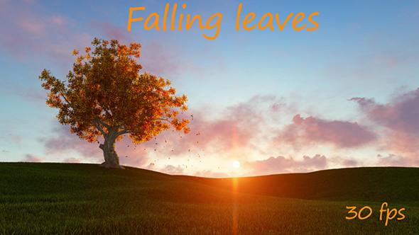 Falling Leaves with Sunset alt