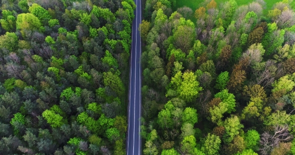 Car Passing Highway Aerial View alt