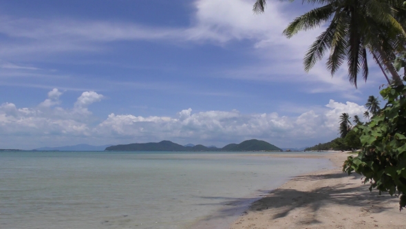 Beach of Tropical Island Seascape Calm Sea White Sand Palm Trees