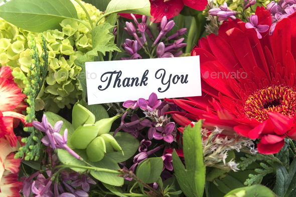 Thank You Card - Stock Photo - Images