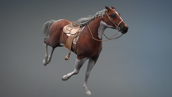 3D Horse Gallop