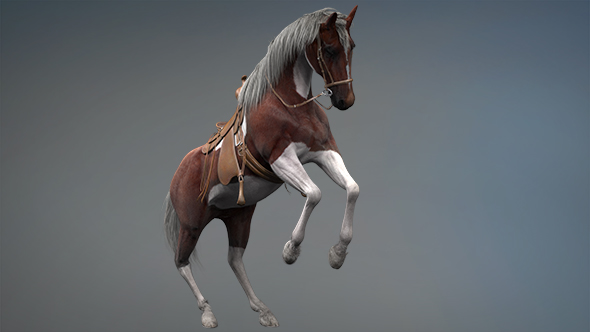 3D Horse Rise