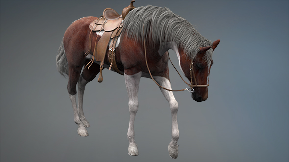 3D Horse Scratch