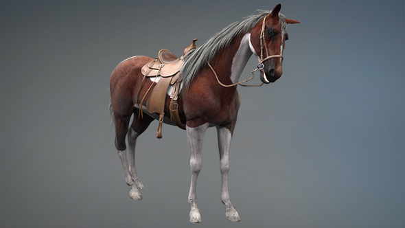 3D Horse Bite