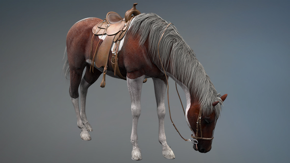 3D Horse Feed