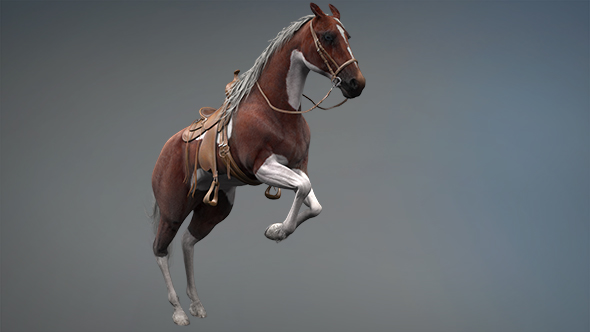 3D Horse Jump