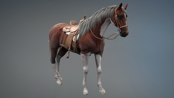 3D Horse Standing