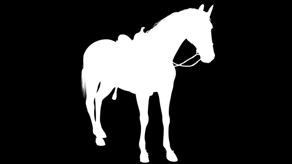 3D Horse Stand Silhouette