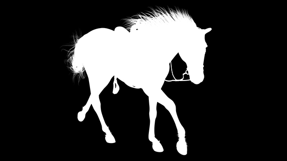3D Horse Canter Silhouette