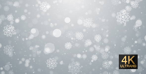 Snow Particles White Background
