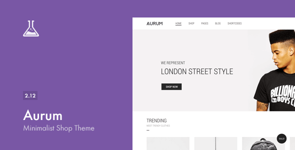 Aurum - Minimalist Shopping Theme - WooCommerce eCommerce