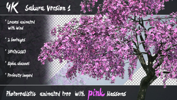 3D Animated Photorealistic Sakura Tree Ver.1 - Pink