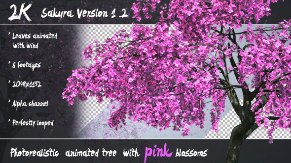 3D Animated Photorealistic Sakura Tree Ver.1.2 - Pink