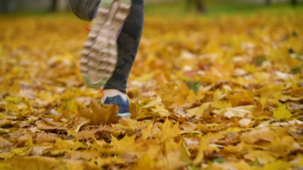 of Woman Legs Running Through an Autumn Park at Sunset. alt