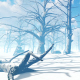 Winter in the Forest - VideoHive Item for Sale