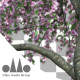 3D Animated Photorealistic Sakura Tree Ver.3 - Pink &amp; Green - VideoHive Item for Sale