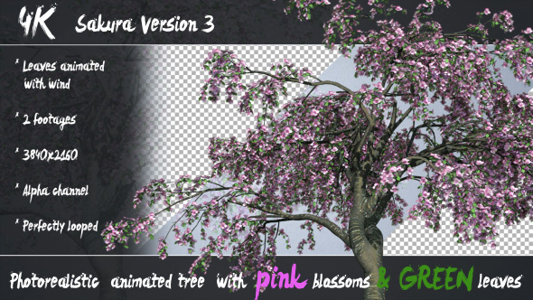 3D Animated Photorealistic Sakura Tree Ver.3 - Pink & Green