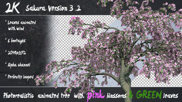 Photorealistic Sakura Tree Ver.3.2 - Pink & Green