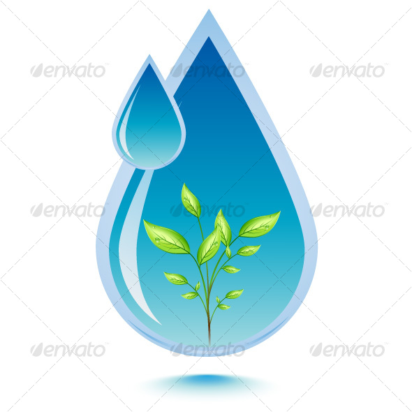 Water and leaf - Flowers & Plants Nature