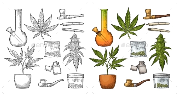 Set of Marijuana - Flowers & Plants Nature