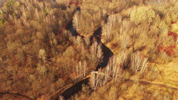 Flying Over Autumn Park