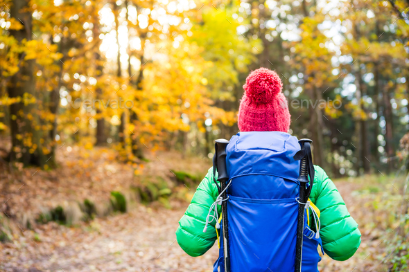 Hiking woman with backpack looking at inspirational autumn golde