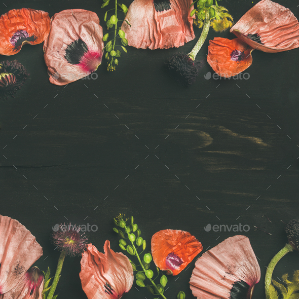 Pink and red flower petals, branches and leaves, square crop - Stock Photo - Images