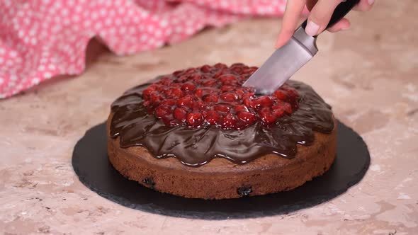 Female hands cutting chocolate cherry cake in slices.	