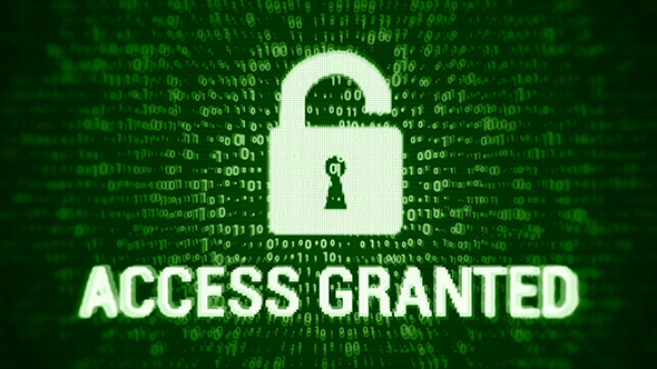 Access Granted (2 in 1)