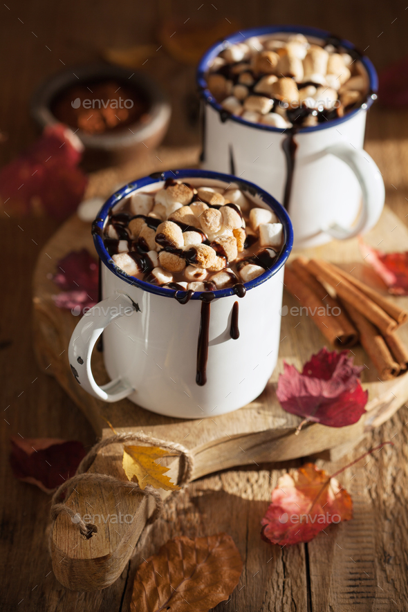 s\'mores hot chocolate mini marshmallows cinnamon winter drink