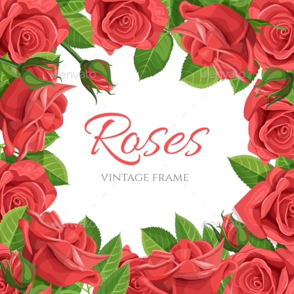 Red Rose Vector Illustration Frame by M1RZ_420 | GraphicRiver