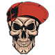 Skull in a Red Cap, Vectors | GraphicRiver