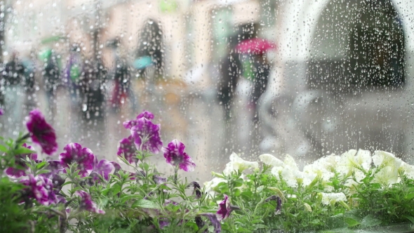 Rain Day on City Street. Crowd of People with Umbrellas in Rain Going To or From Work Along Wet alt
