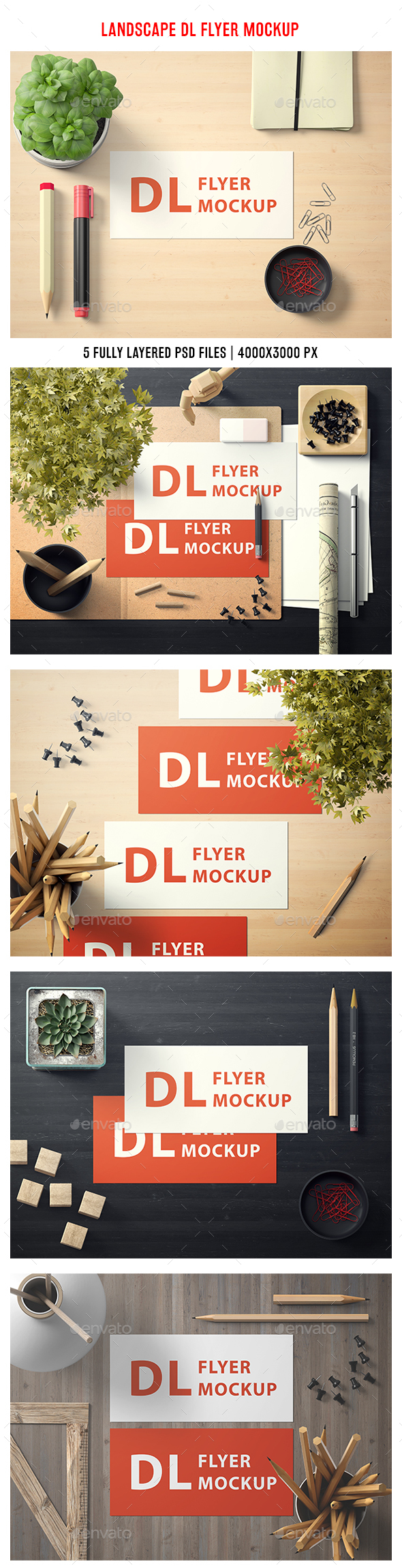 Download Stock Graphic - GraphicRiver Landscape DL Flyer Mockup ...