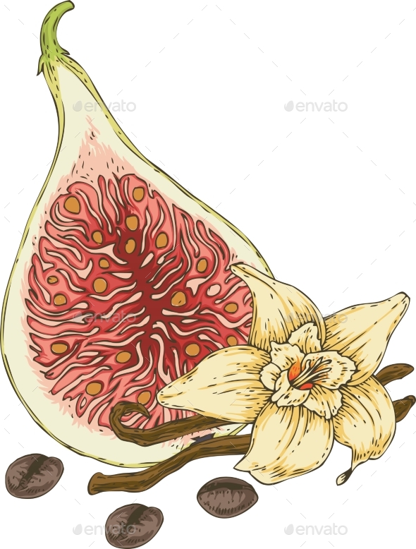 GraphicRiver Vanilla Flower Fig and Coffee Beans 20888160 GraphicRiver Vanilla Flower Fig and Coffee Beans 20888160