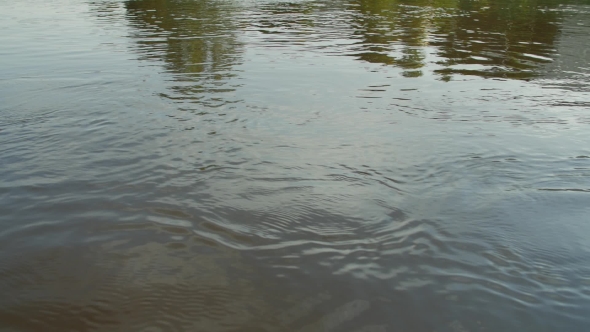 Surface Water. Background , Stock Footage | VideoHive